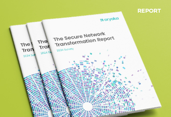 The Secure Network Transformation Report 2024 Survey